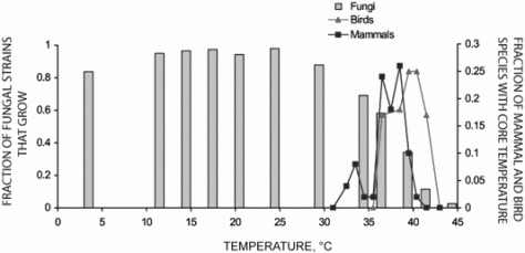 Frequency histogram of thermal growth tolerance for 4802 fungal strains (bars). Lines connect percentages for 49 mammalian (blue) and 12 bird (red) species core temperatures. Obtained from Mc. Nab [4].