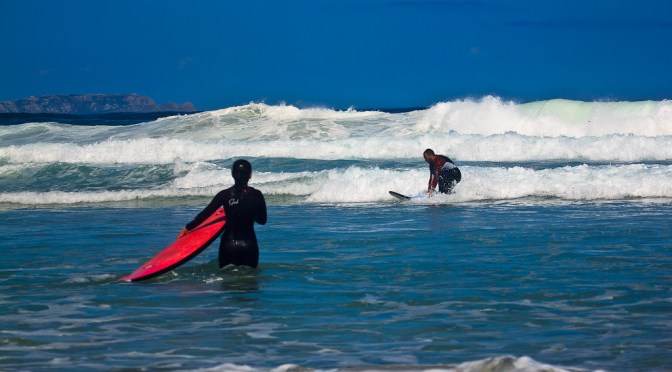 Surf’s Up!: Thriving Amid Chaos