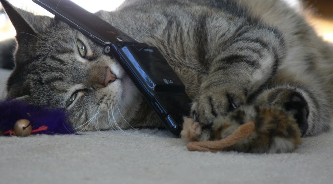 Ace Your Next Phone Interview